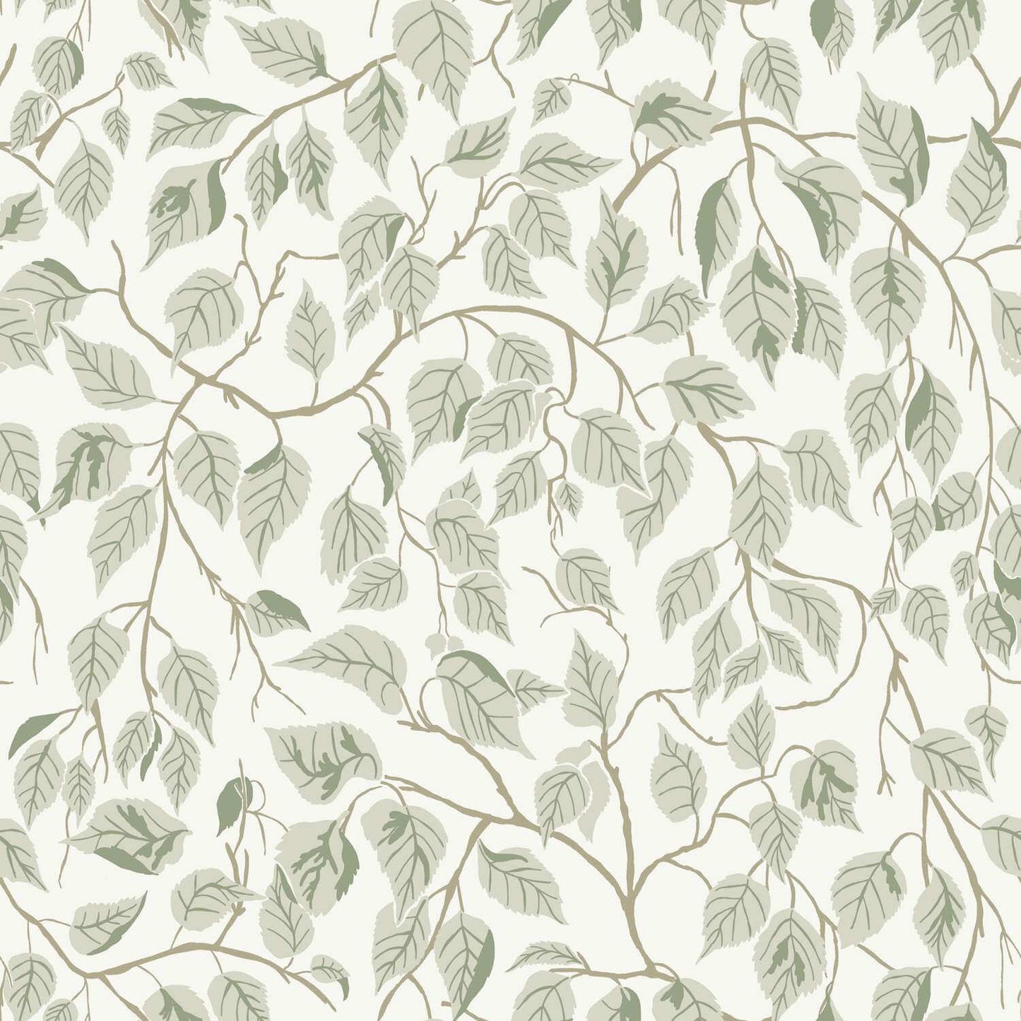 A-Street Prints Savanna Hangbjork Vine Wallpaper Sample - Sage