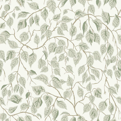 A-Street Prints Savanna Hangbjork Vine Wallpaper Sample - Sage