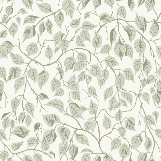 A-Street Prints Savanna Hangbjork Vine Wallpaper - Sage