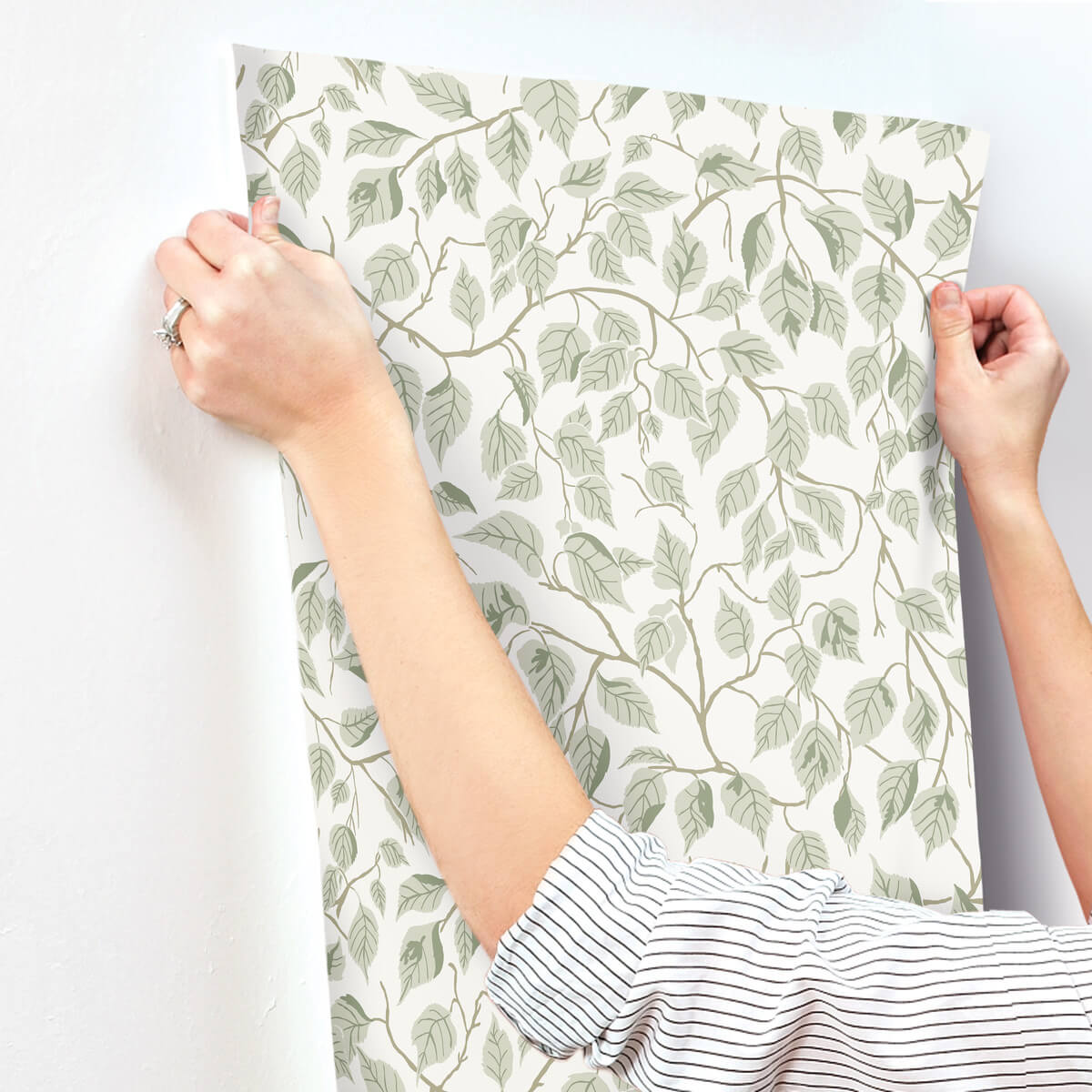 A-Street Prints Savanna Hangbjork Vine Wallpaper Sample - Sage