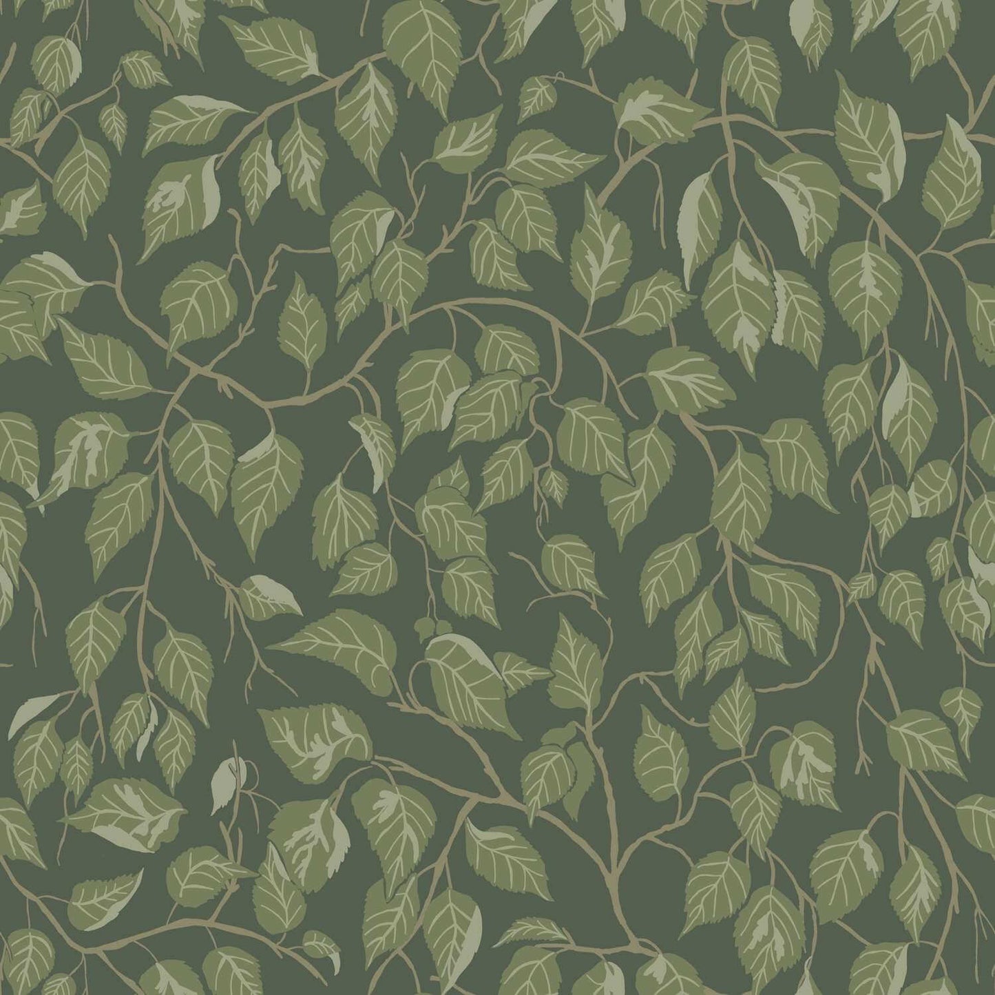 A-Street Prints Savanna Hangbjork Vine Wallpaper Sample - Evergreen