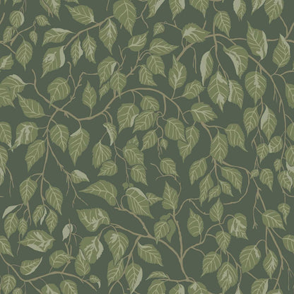 A-Street Prints Savanna Hangbjork Vine Wallpaper Sample - Evergreen
