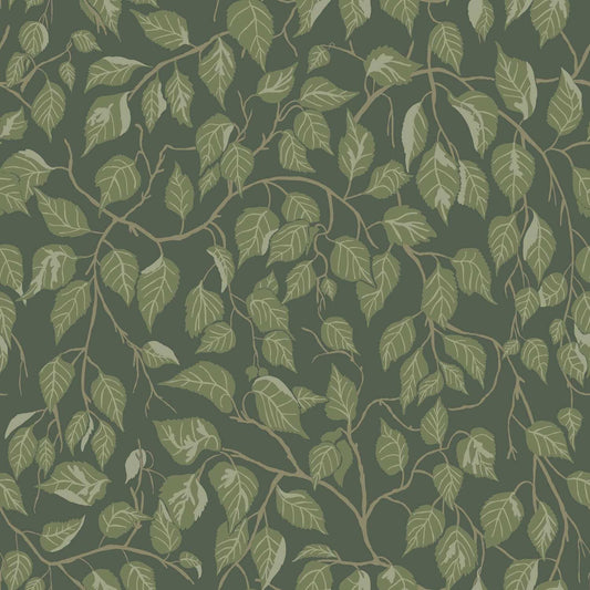 A-Street Prints Savanna Hangbjork Vine Wallpaper - Evergreen