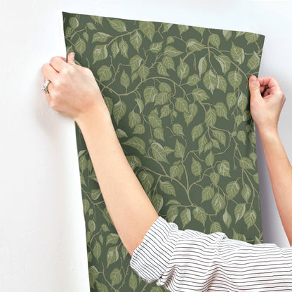 A-Street Prints Savanna Hangbjork Vine Wallpaper Sample - Evergreen