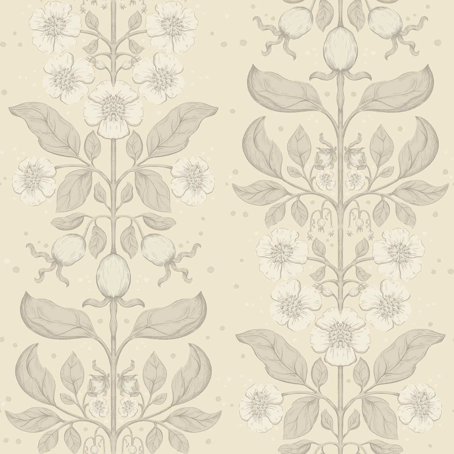A-Street Prints Savanna Rosa Floral Wallpaper - Cream
