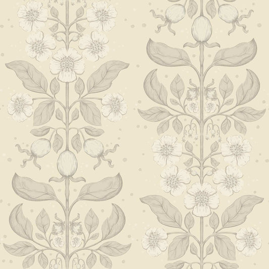 A-Street Prints Savanna Rosa Floral Wallpaper - Cream