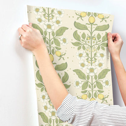 A-Street Prints Savanna Rosa Floral Wallpaper - Green