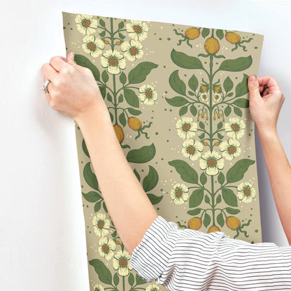 A-Street Prints Savanna Rosa Floral Wallpaper Sample - Light Brown