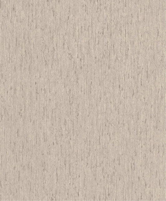 A-Street Prints Springhill Roison Birch Bark Wallpaper - Dove