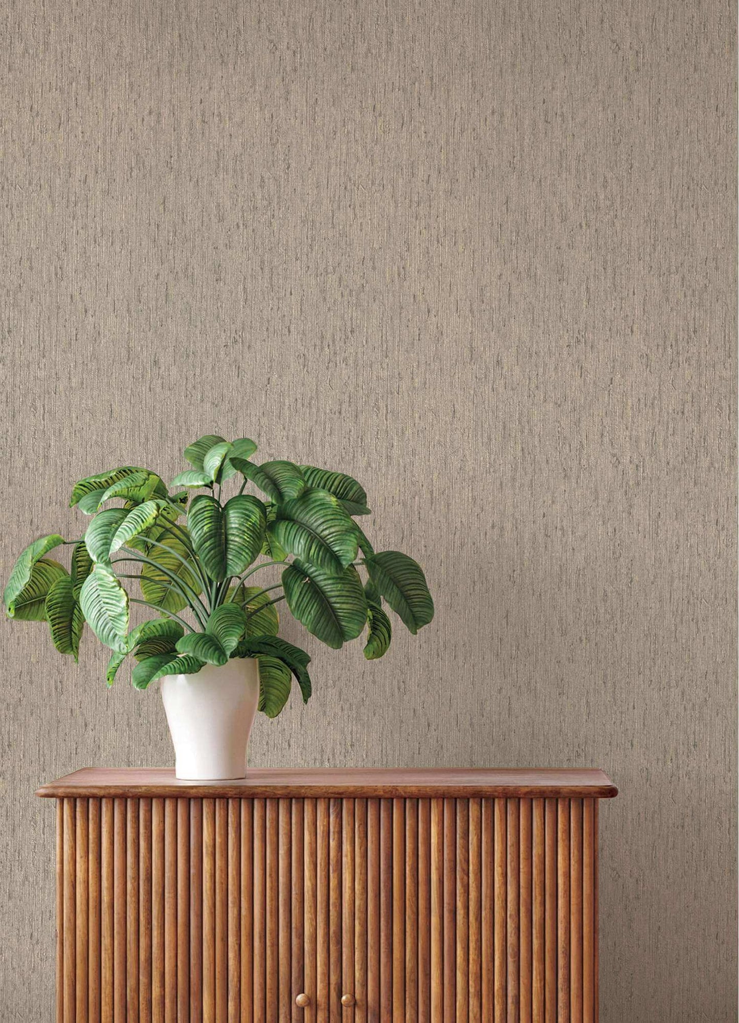 A-Street Prints Springhill Roison Birch Bark Wallpaper Sample - Dove