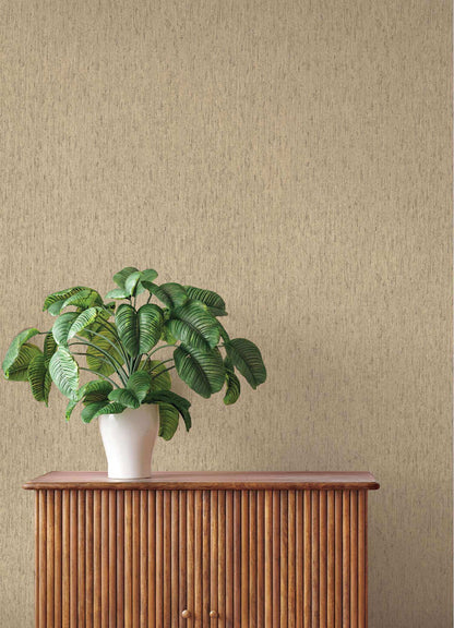 A-Street Prints Springhill Roison Birch Bark Wallpaper Sample - Khaki
