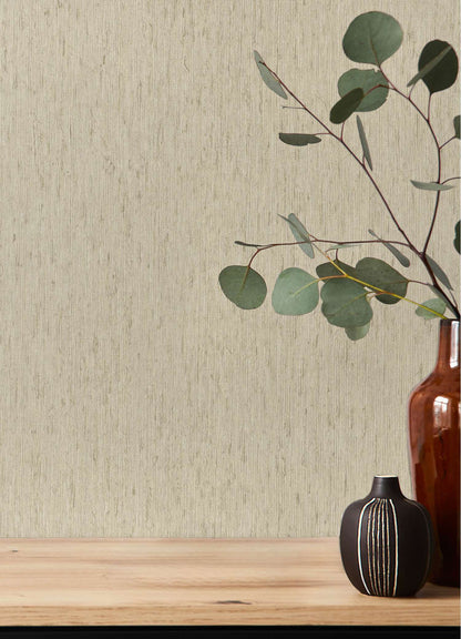 A-Street Prints Springhill Roison Birch Bark Wallpaper Sample - Bone