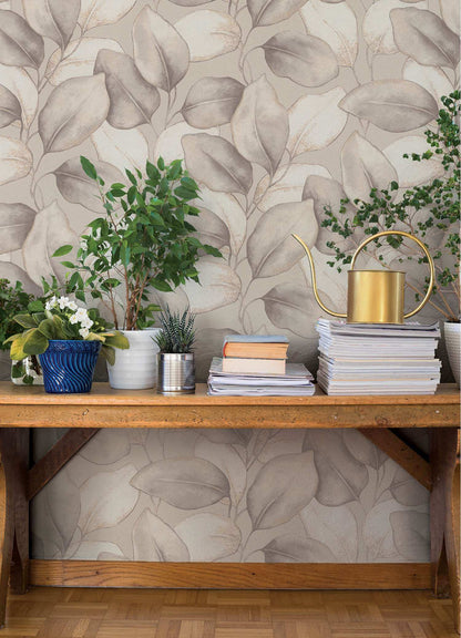 A-Street Prints Springhill Evanthe Vine Wallpaper - Grey