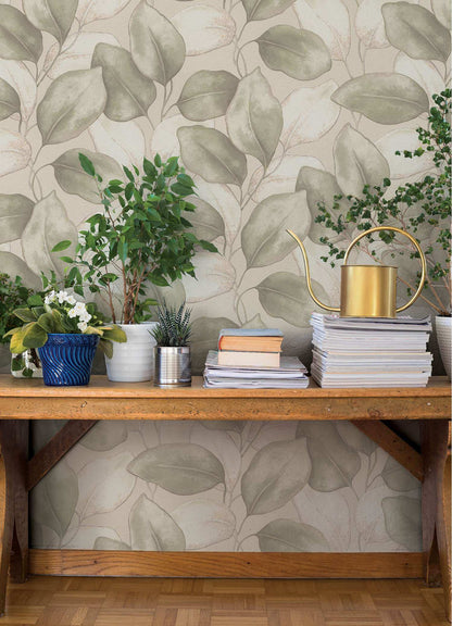 A-Street Prints Springhill Evanthe Vine Wallpaper - Sage