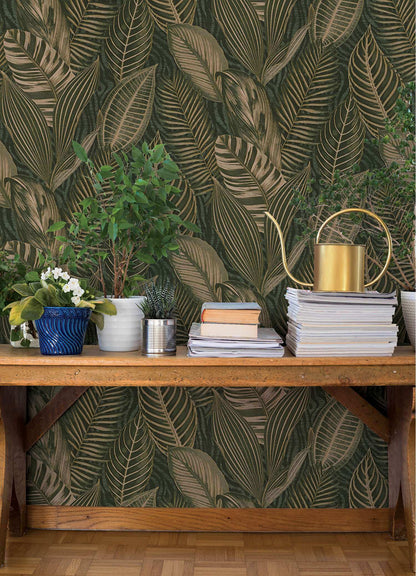 A-Street Prints Springhill Acacius Tropical Wallpaper - Dark Green