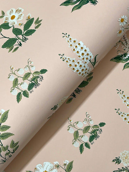 Rifle Paper Co. Botanical Wallpaper Sample - Blush