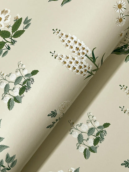 Rifle Paper Co. Botanical Wallpaper Sample - Cream