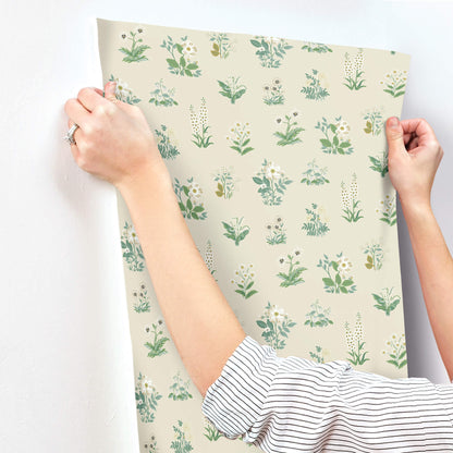 Rifle Paper Co. Botanical Wallpaper Sample - Cream