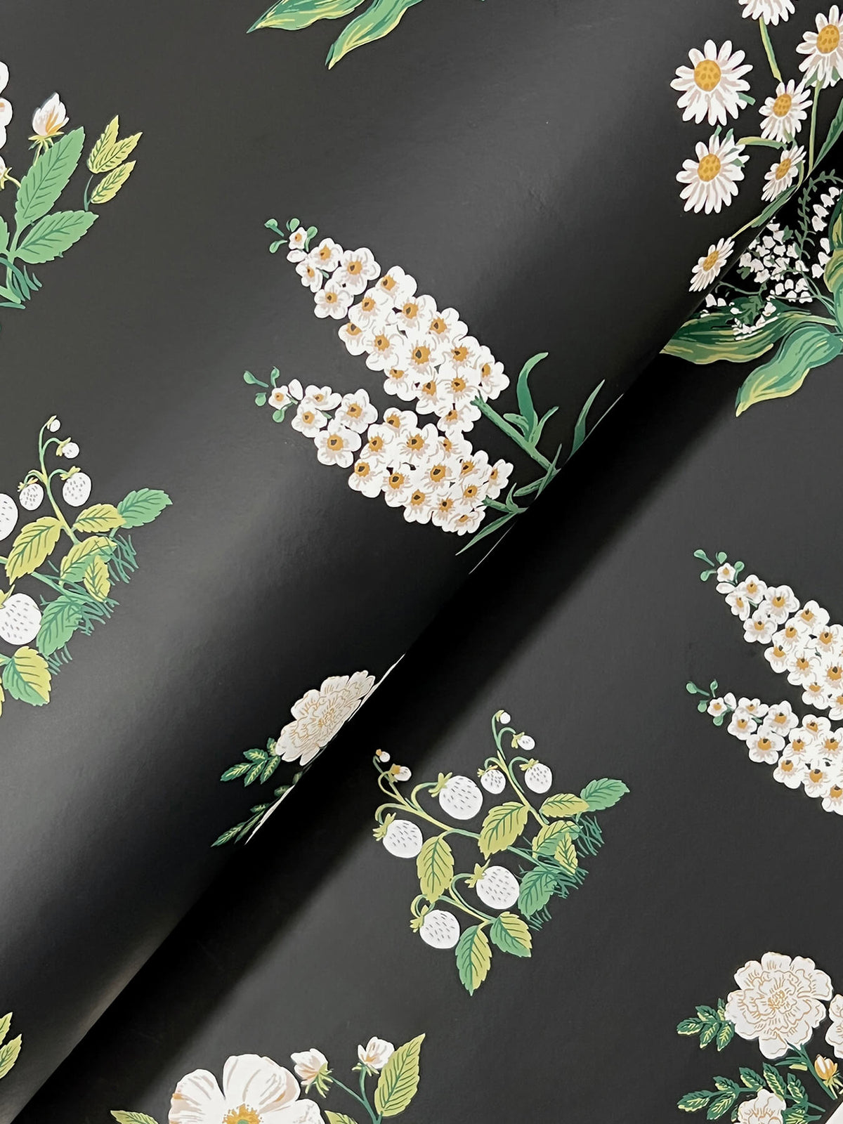 Rifle Paper Co. Botanical Wallpaper - Black