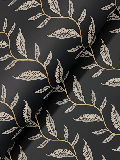 Rifle Paper Co. Seagrass Wallpaper Sample - Black