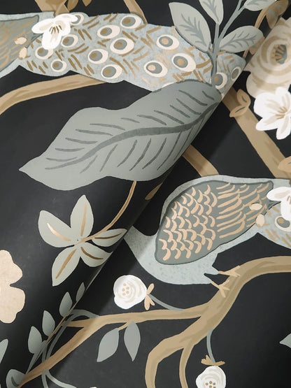 Rifle Paper Co. Peacock Wallpaper Sample - Black