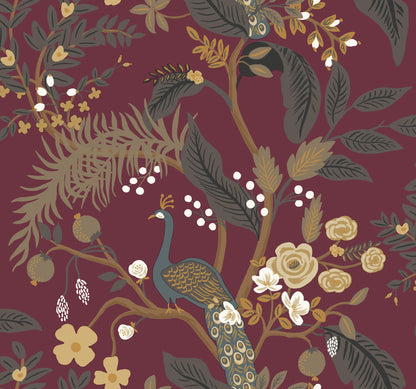 Rifle Paper Co. Peacock Wallpaper Sample - Burgundy
