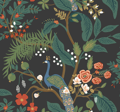 Rifle Paper Co. Peacock Wallpaper Sample - Charcoal