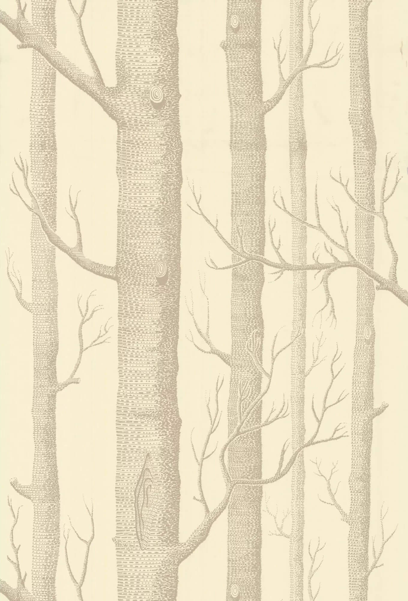 Cole & Son Woods Wallpaper - SAMPLE