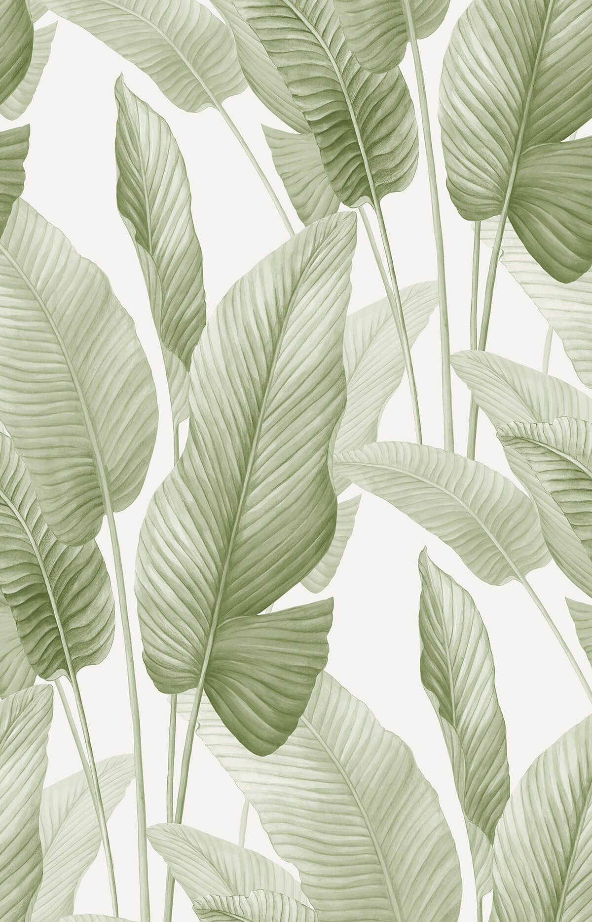 Seabrook Designs Bali Tropical Mantra Wallpaper Sample - Matcha