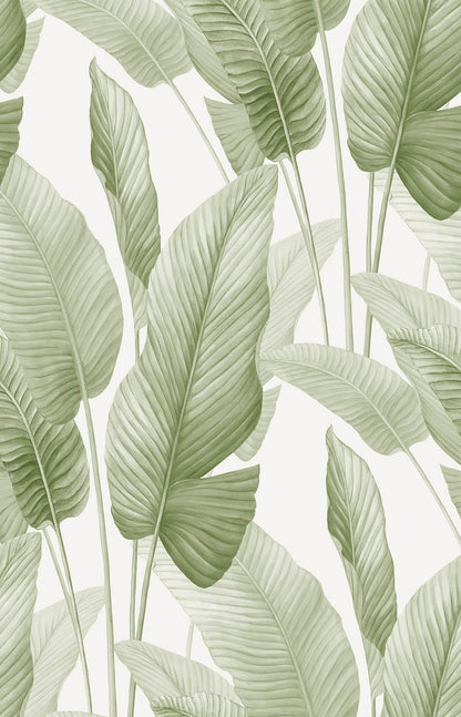 Seabrook Designs Bali Tropical Mantra Wallpaper Sample - Matcha