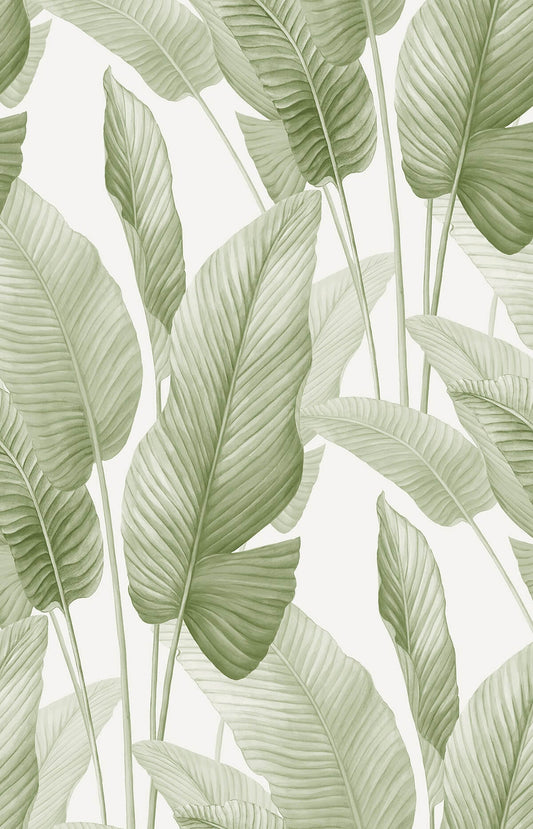 Seabrook Designs Bali Tropical Mantra Wallpaper - Matcha