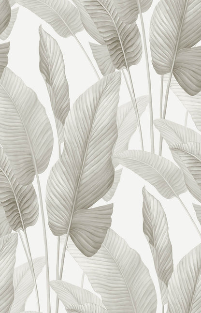 Seabrook Designs Bali Tropical Mantra Wallpaper Sample - Gloss White