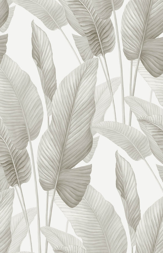 Seabrook Designs Bali Tropical Mantra Wallpaper - Gloss White