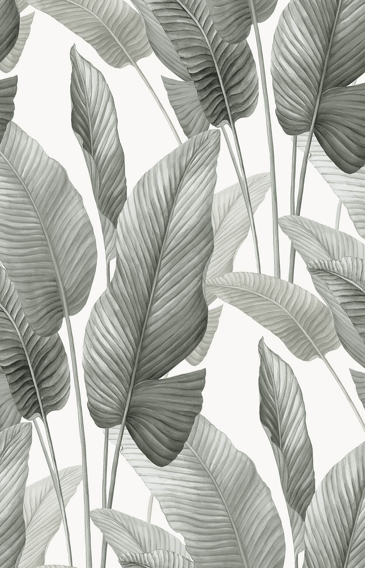 Seabrook Designs Bali Tropical Mantra Wallpaper - Pebble