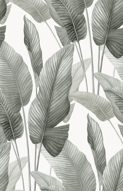 Seabrook Designs Bali Tropical Mantra Wallpaper - Pebble