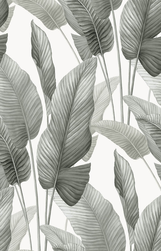Seabrook Designs Bali Tropical Mantra Wallpaper - Pebble