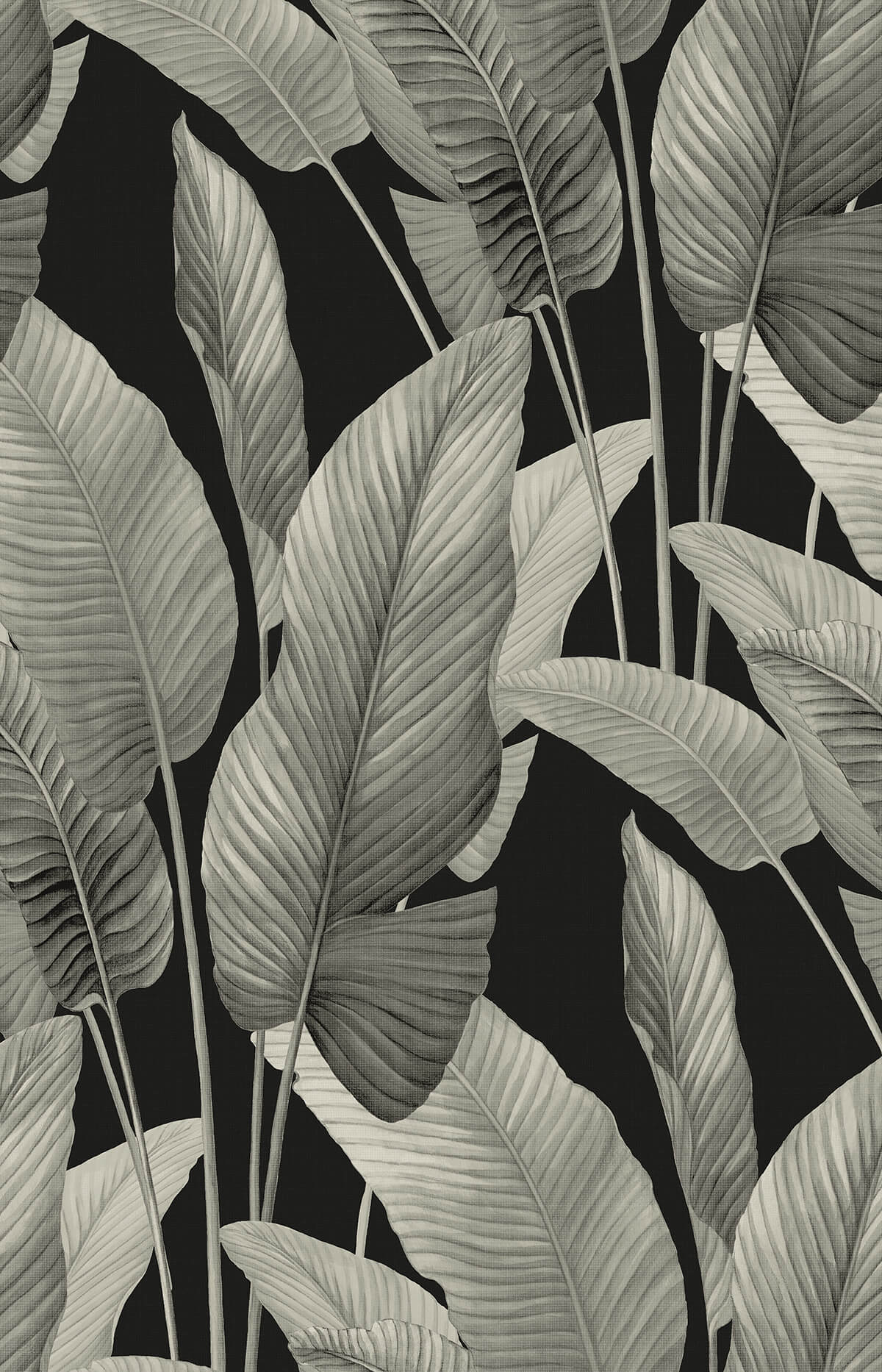 Seabrook Designs Bali Tropical Mantra Wallpaper Sample - Metallic Silver