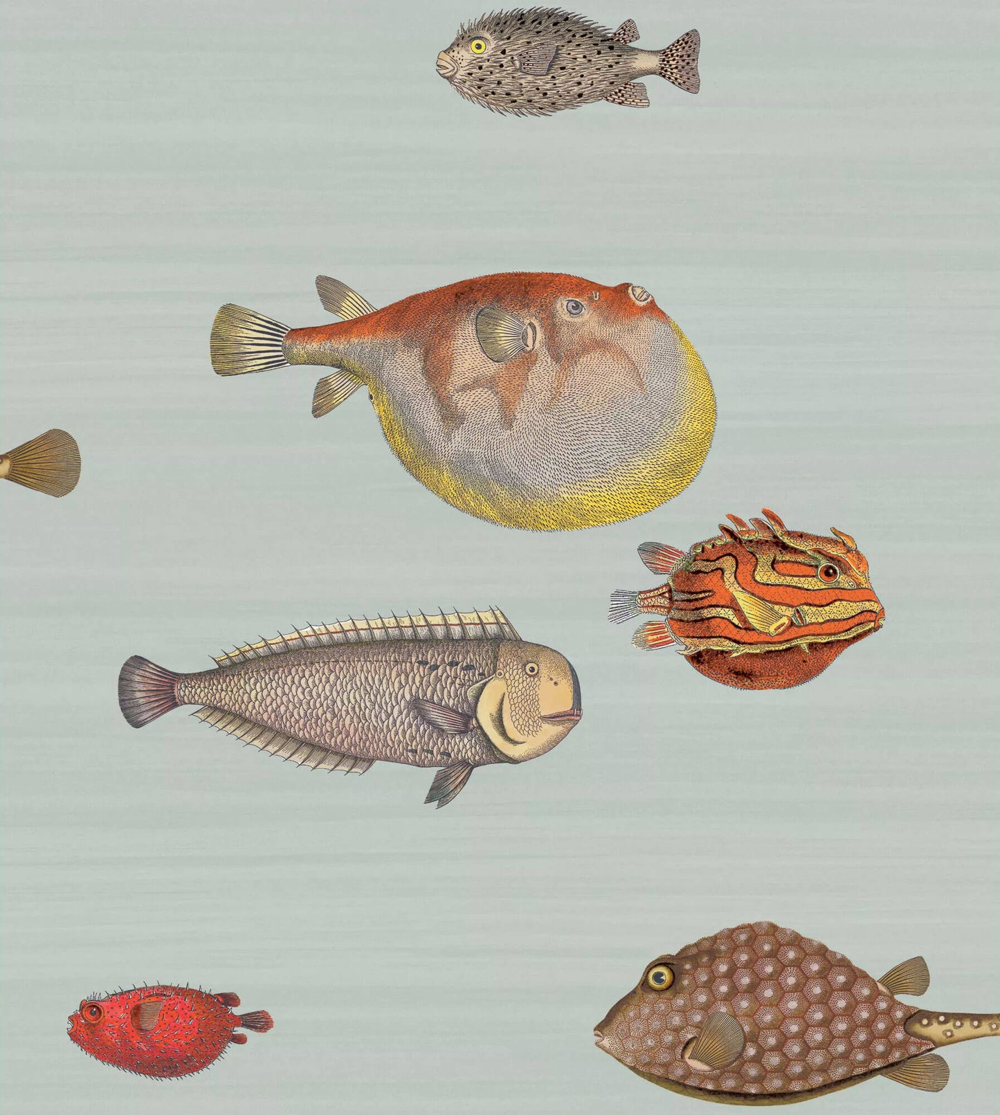 Cole & Son Acquario Fish Wallpaper - SAMPLE