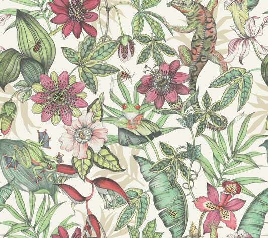 Blooms Second Edition Rainforest Wallpaper - Multi