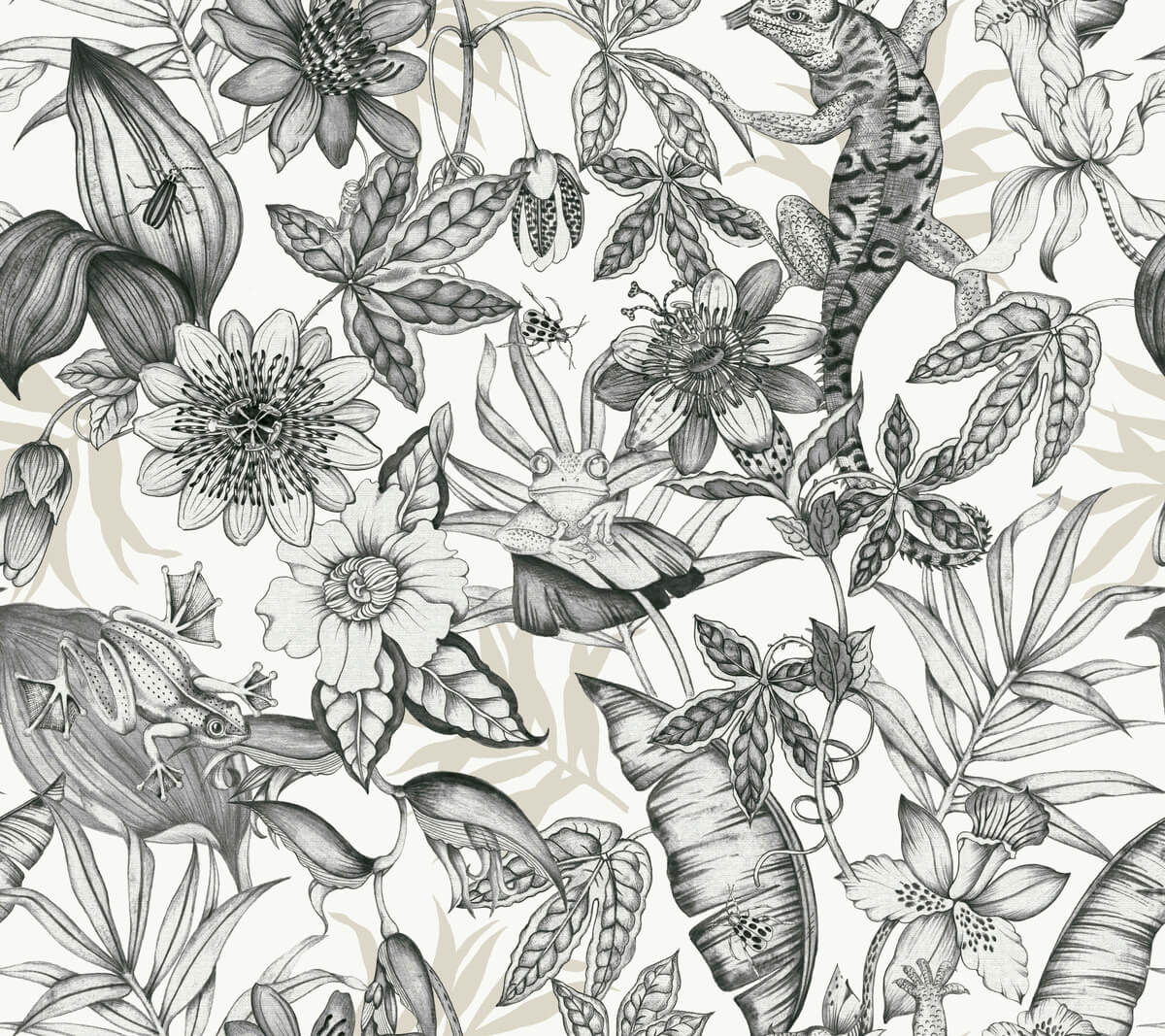 Blooms Second Edition Rainforest Wallpaper - Charcoal