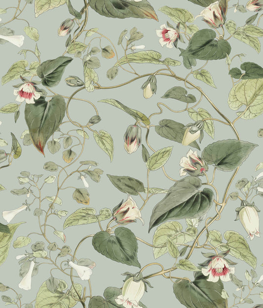 Blooms Second Edition Moon Flower Wallpaper - Dove