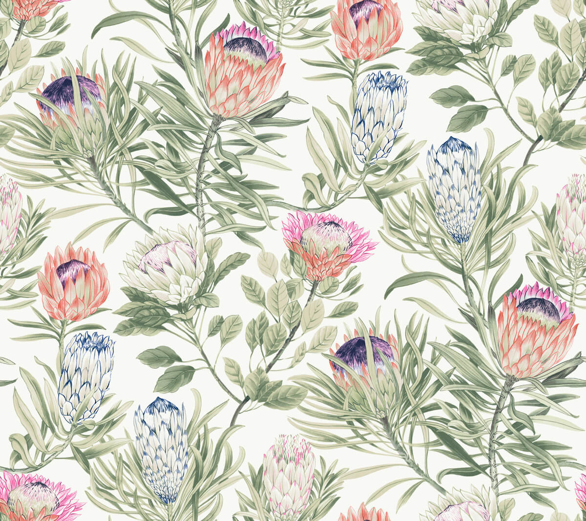 Blooms Second Edition Protea Wallpaper - White & Fuchsia