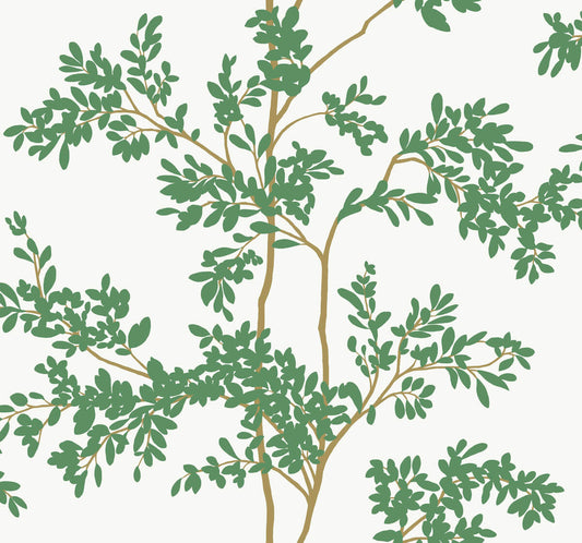 Blooms Second Edition Lunaria Silhouette Wallpaper - White & Green