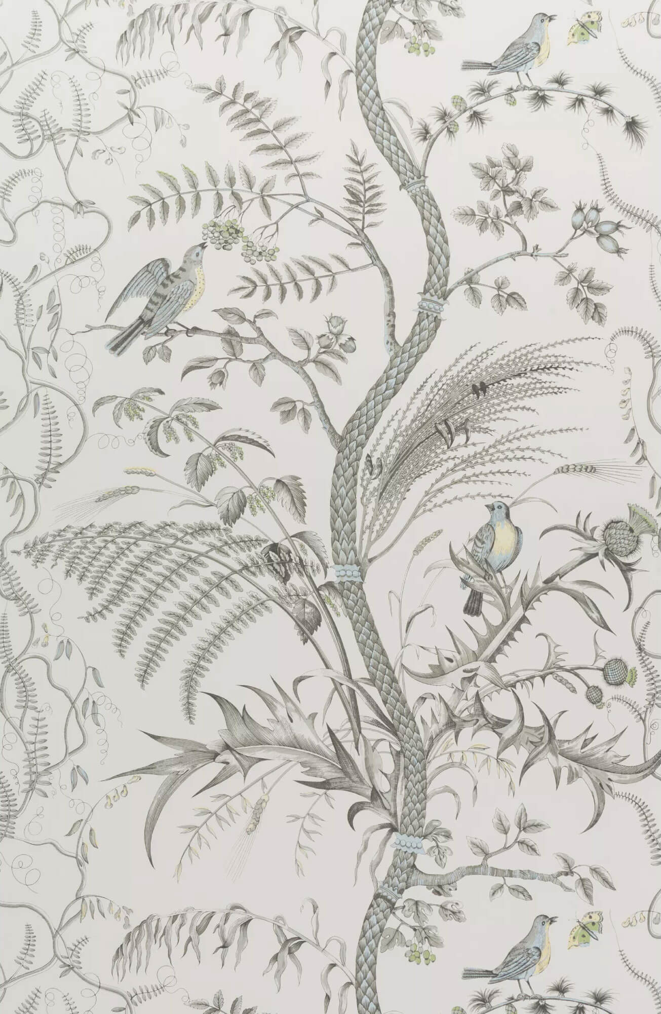 Brunschwig & Fils Bird and Thistle Wallpaper - Gray