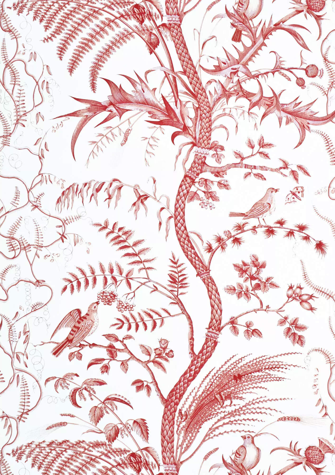 Brunschwig & Fils Bird and Thistle Wallpaper - Red