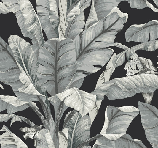 Black & White Resource Library Banana Leaf Wallpaper - Black & White