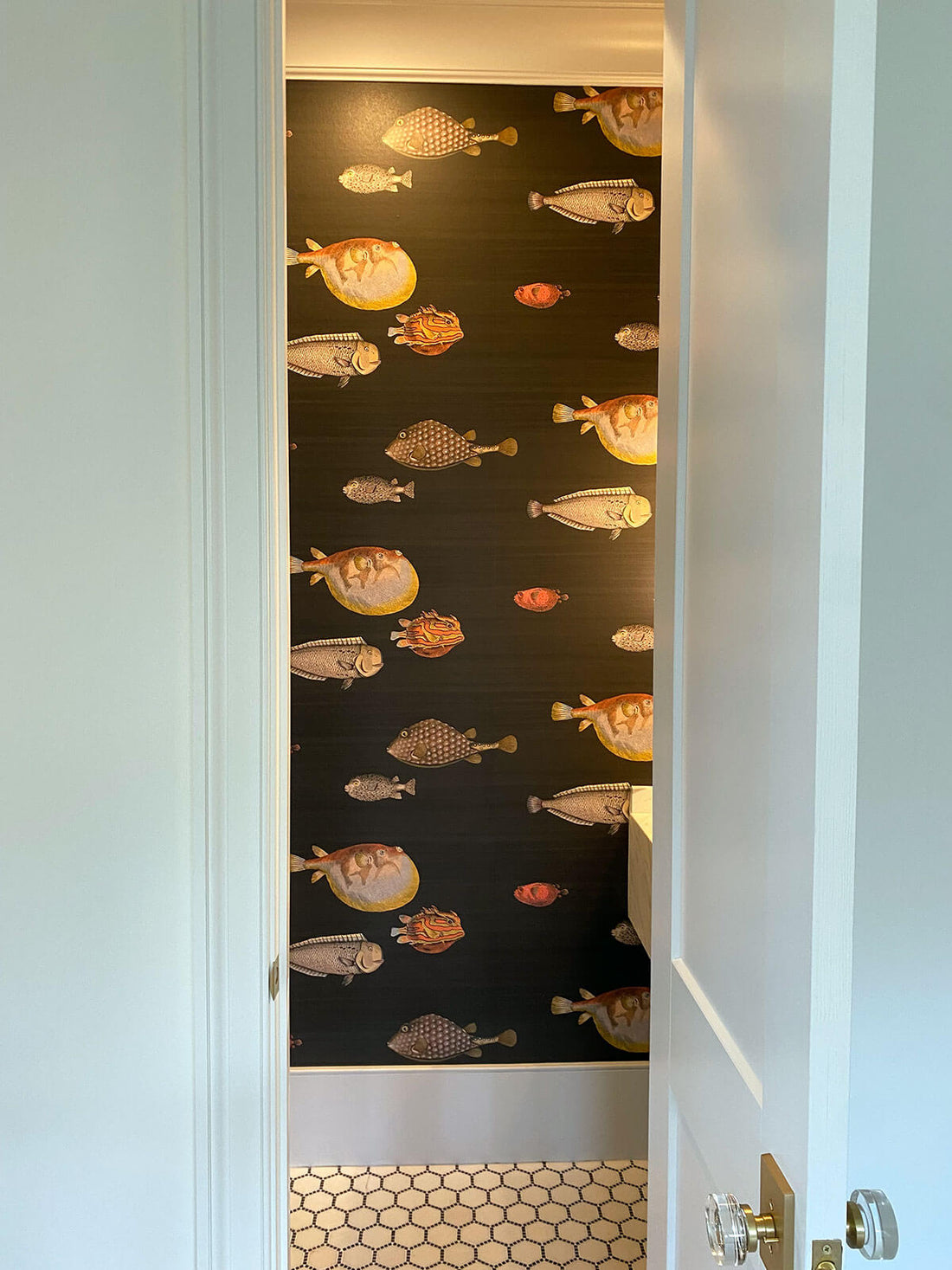 Cole & Son Acquario Wallpaper Black & Multi US Wall Decor