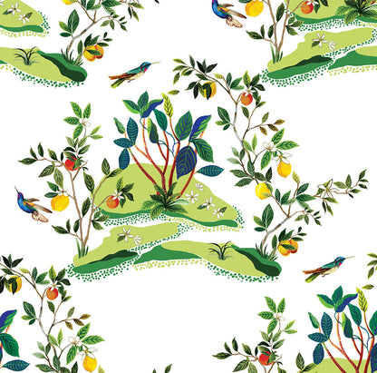 Daisy Bennett West Boulevard Collection Citrus Hummingbird Wallpaper - White