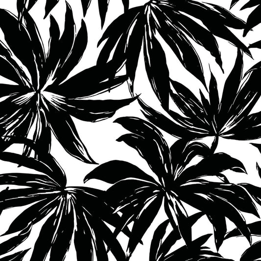 Daisy Bennett West Boulevard Collection Palma Wallpaper - Black