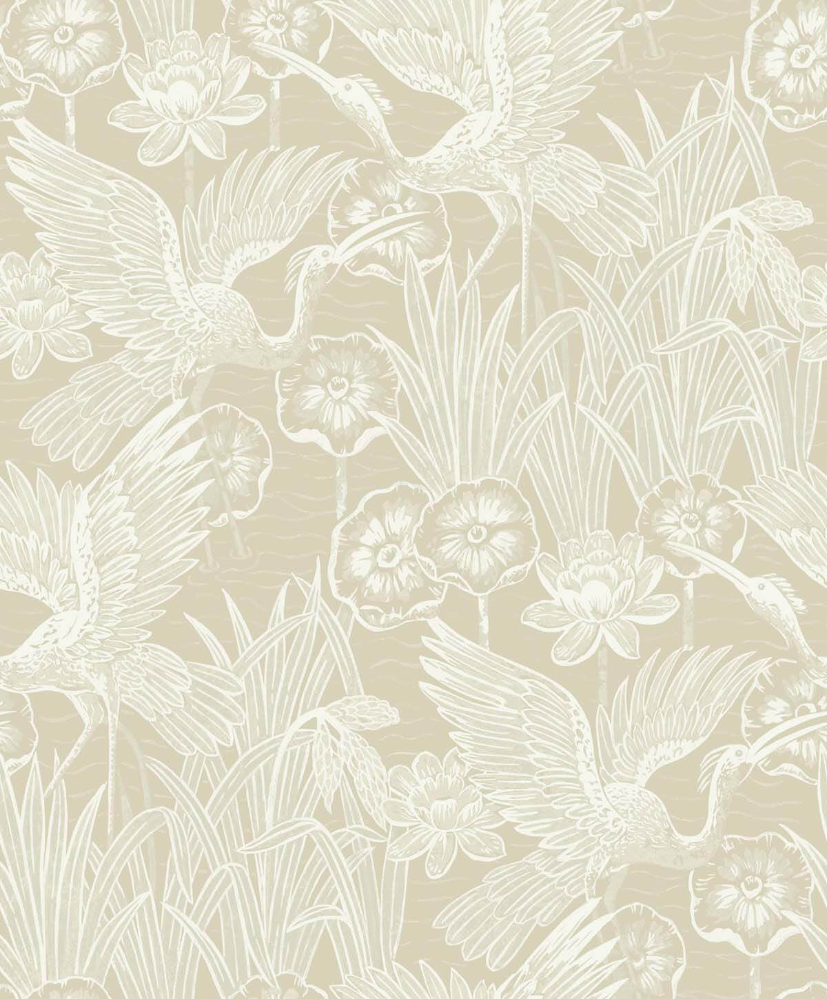 White Heron Marsh Cranes Wallpaper - Shore